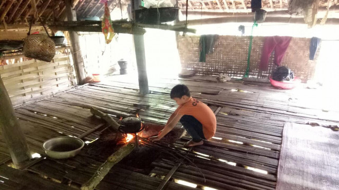 Những thông tin chưa biết về