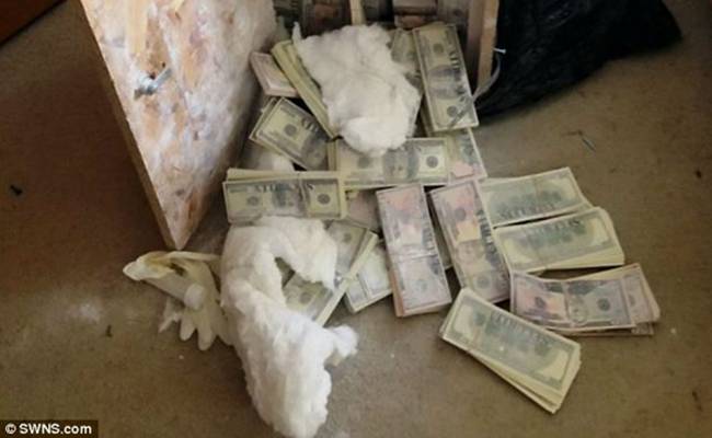 Năm 2014, một đội quay phim truyền hình đang thực hiện các cảnh quay ở Anh thì phát hiện một tủ gỗ nhỏ trong căn hộ ở đông London.