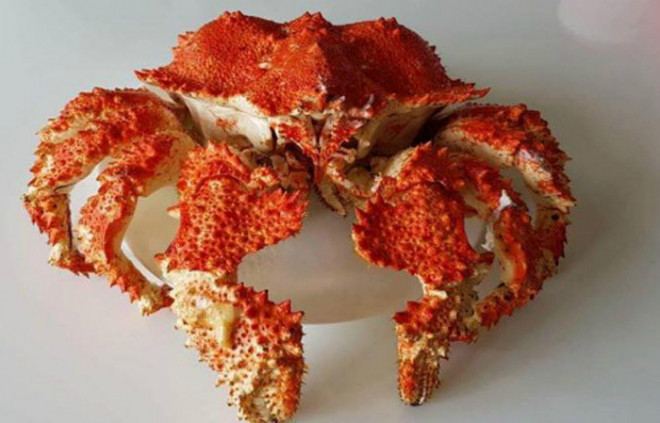 Gọi tên các loài cua đắt nhất thế giới, có con giá bằng chiếc ô tô - 2