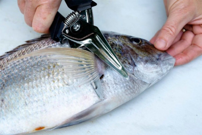 Muốn kho cá 10 lần chuẩn cả 10, các mẹ không thể bỏ qua những bí kíp này - 6