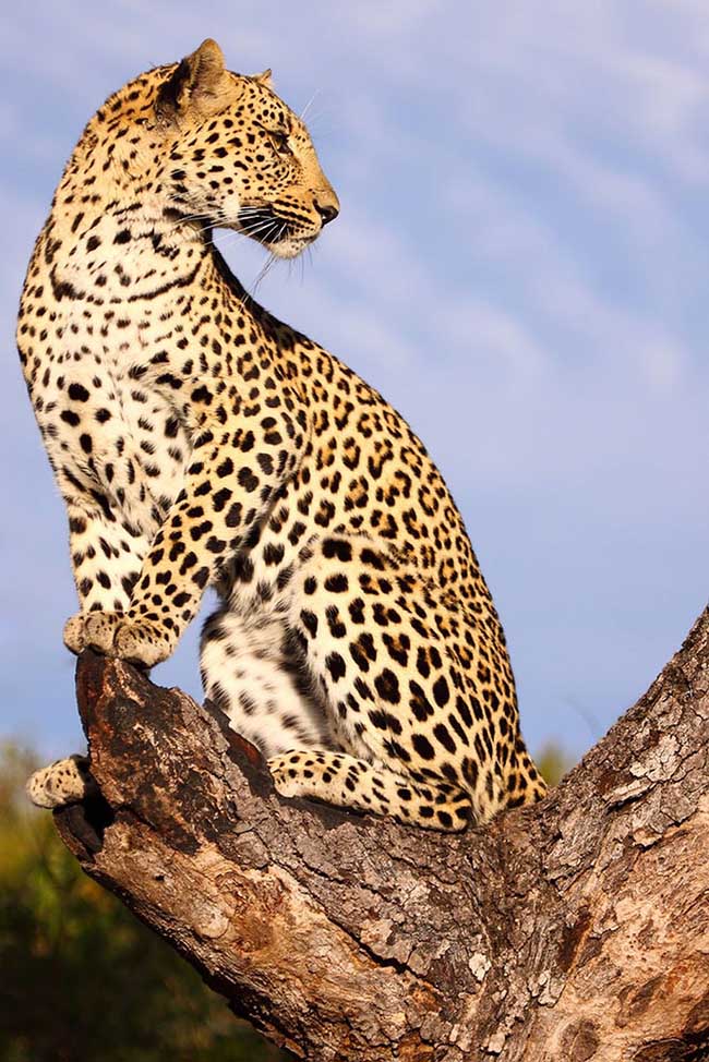 TIEUDE_BAIVIET_KHONGDAU