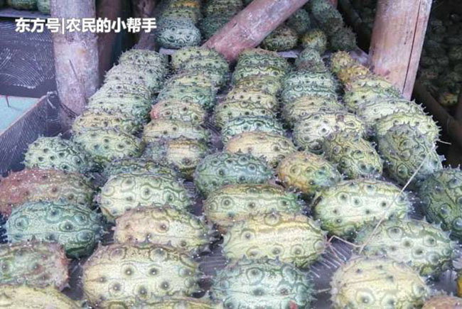 TIEUDE_BAIVIET_KHONGDAU