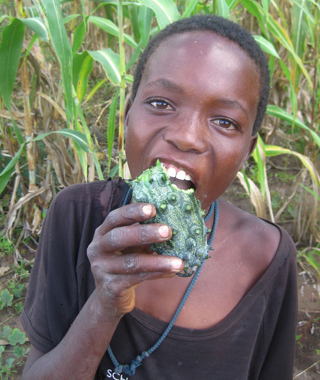 TIEUDE_BAIVIET_KHONGDAU