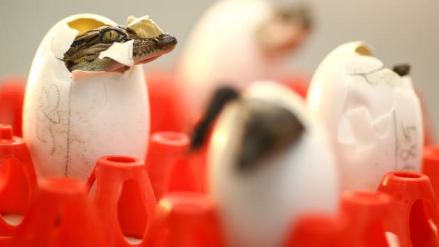 TIEUDE_BAIVIET_KHONGDAU