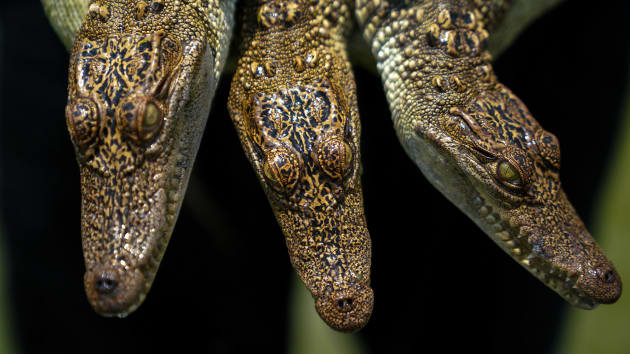 TIEUDE_BAIVIET_KHONGDAU