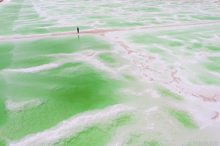 TIEUDE_BAIVIET_KHONGDAU