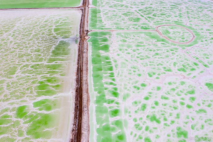 TIEUDE_BAIVIET_KHONGDAU