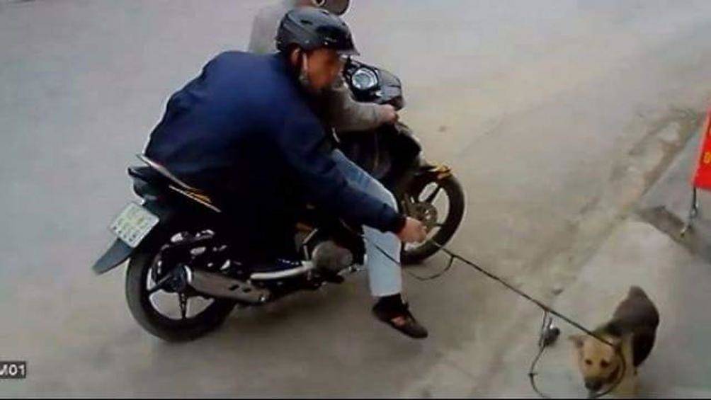 Nghe VietNamNet: Thanh Hoá bắt giữ hơn 10 đối tượng trộm chó lúc rạng sáng
