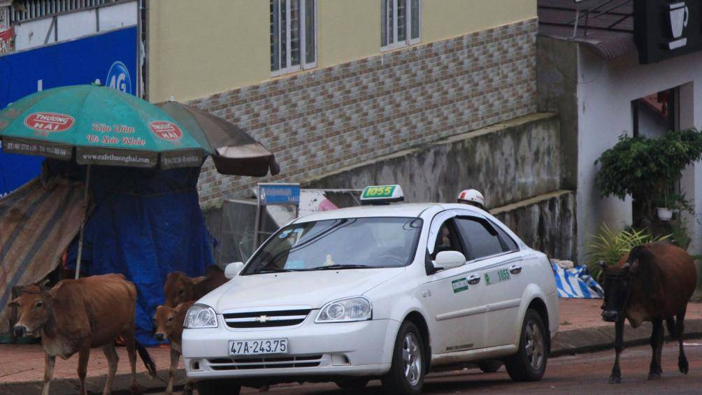 Vụ taxi Hòa Bình Xanh 