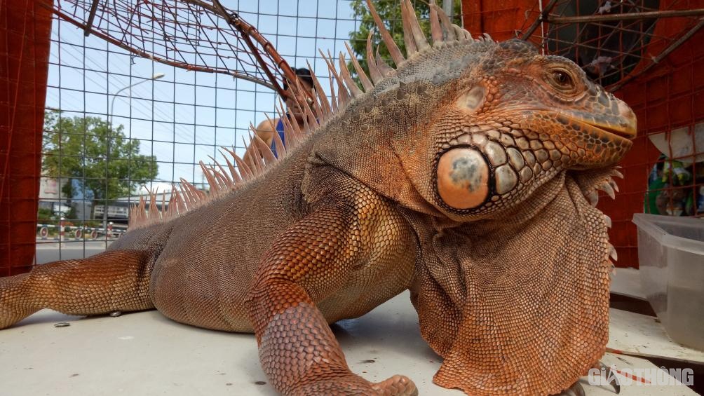 TIEUDE_BAIVIET_KHONGDAU