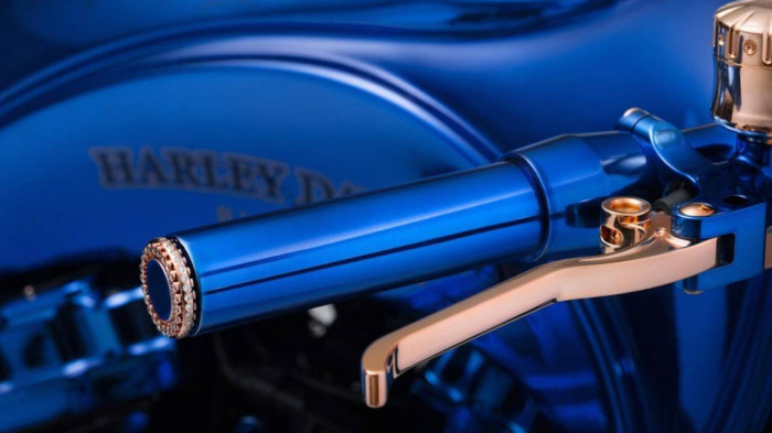 Chiêm ngưỡng mô tô Harley-Davidson độ đẹp nhất thế giới 4