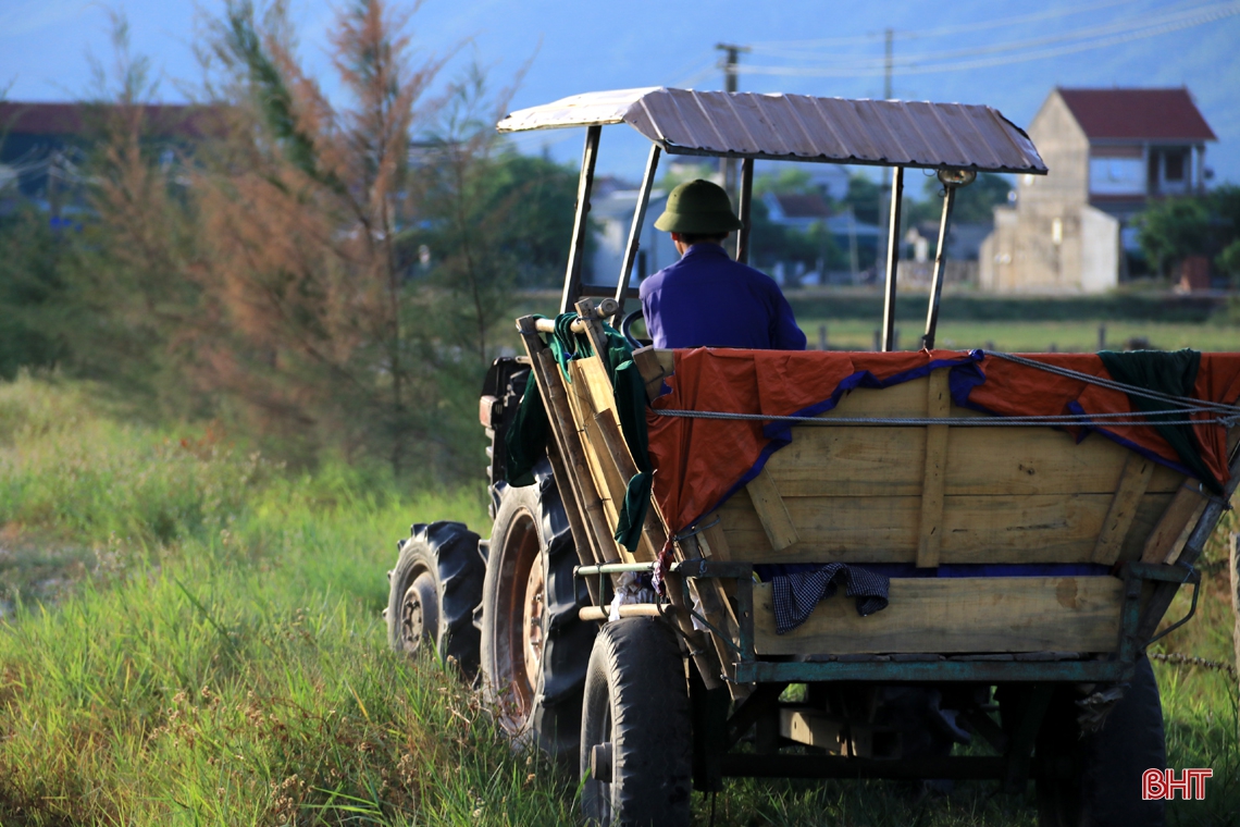 Mê dưa, người đàn ông ở Hà Tĩnh “chơi lớn” trên đồng đất cát