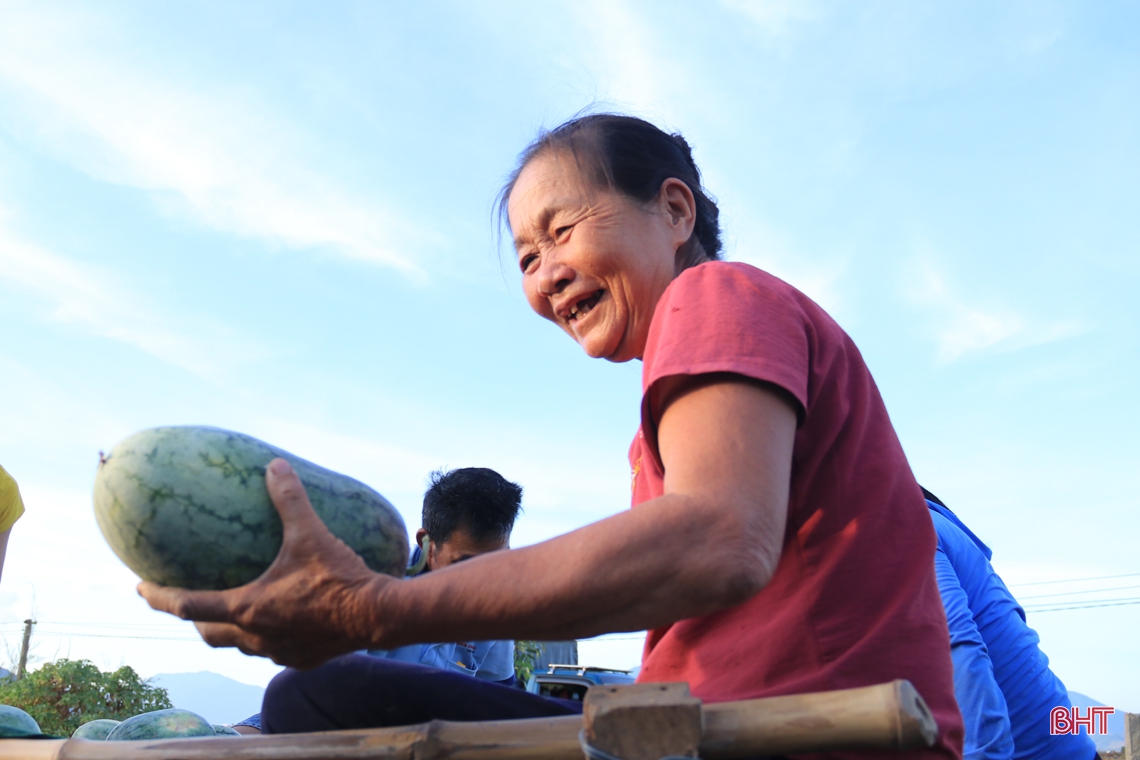 Mê dưa, người đàn ông ở Hà Tĩnh “chơi lớn” trên đồng đất cát