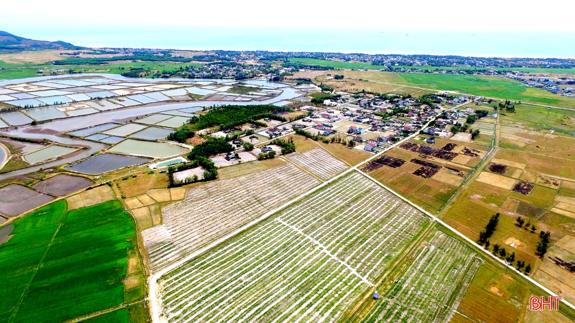Mê dưa, người đàn ông ở Hà Tĩnh “chơi lớn” trên đồng đất cát