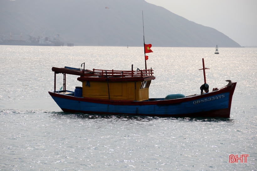 Mực nhảy Vũng Áng hút khách từ đầu hè