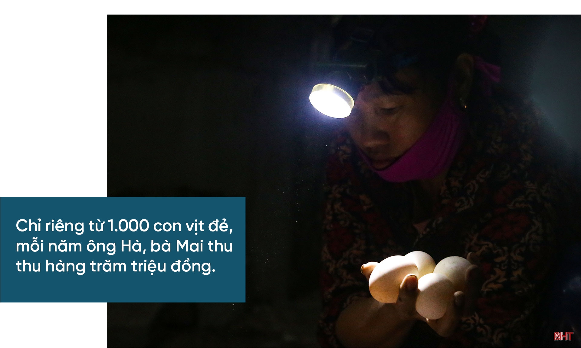 Tích tụ ruộng đất - từ chuyện những người “mê ruộng” và khát vọng nền nông nghiệp hiện đại (bài 1): Dốc vốn tích tụ 5 ha đất, ông nông dân “gàn” xây mô hình 4 tầng nấc