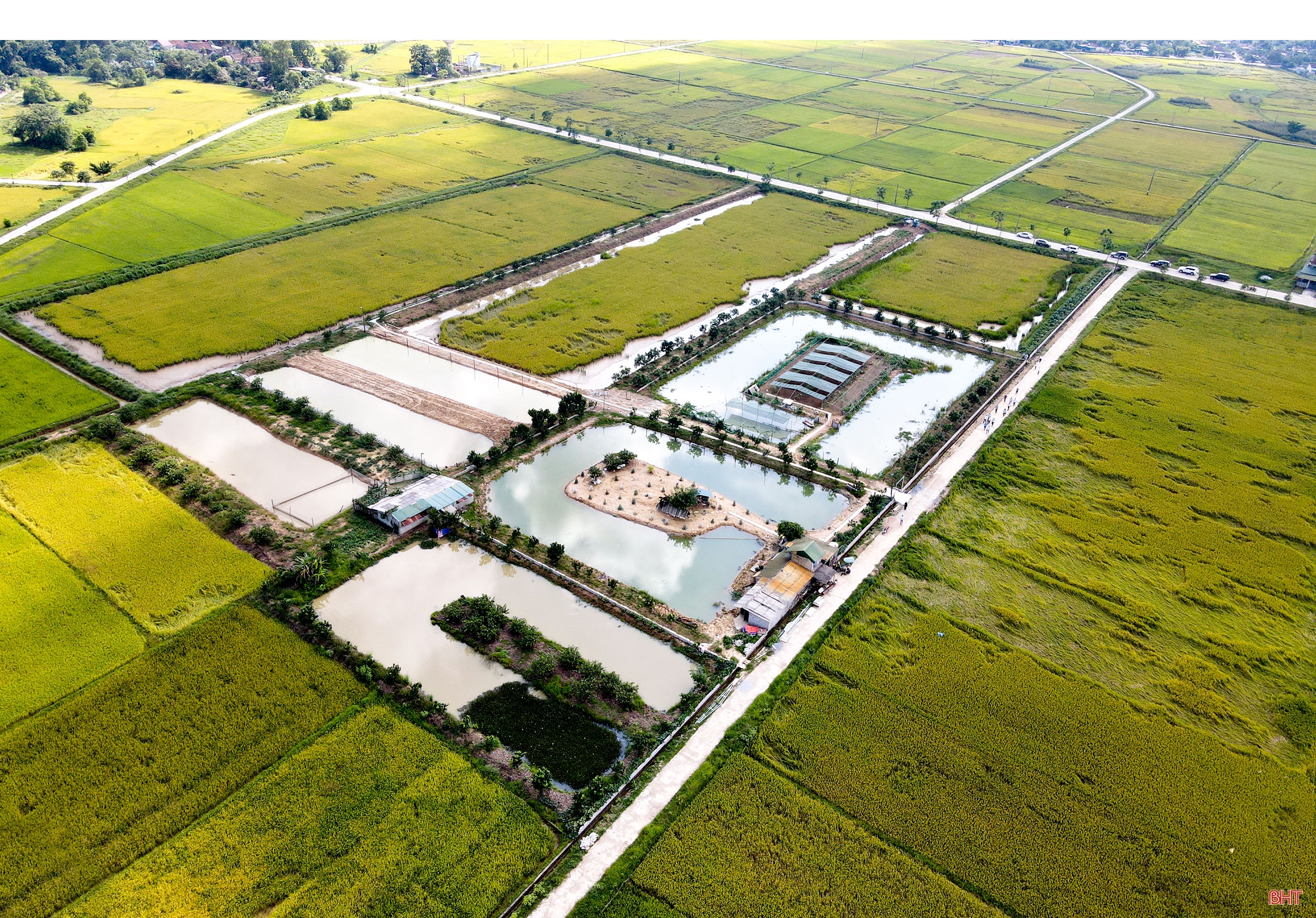 Tích tụ ruộng đất - từ chuyện những người “mê ruộng” và khát vọng nền nông nghiệp hiện đại (bài 1): Dốc vốn tích tụ 5 ha đất, ông nông dân “gàn” xây mô hình 4 tầng nấc