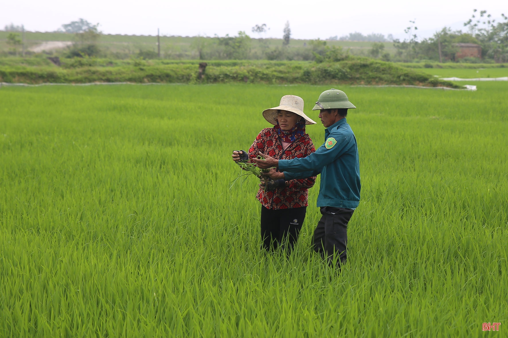 Tích tụ ruộng đất - từ chuyện những người “mê ruộng” và khát vọng nền nông nghiệp hiện đại (bài 1): Dốc vốn tích tụ 5 ha đất, ông nông dân “gàn” xây mô hình 4 tầng nấc