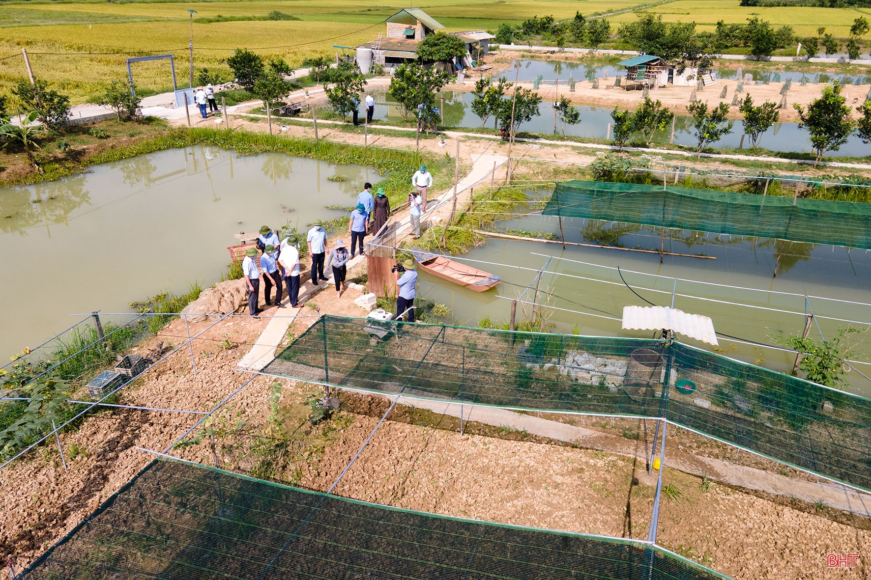 Tích tụ ruộng đất - từ chuyện những người “mê ruộng” và khát vọng nền nông nghiệp hiện đại (bài 1): Dốc vốn tích tụ 5 ha đất, ông nông dân “gàn” xây mô hình 4 tầng nấc