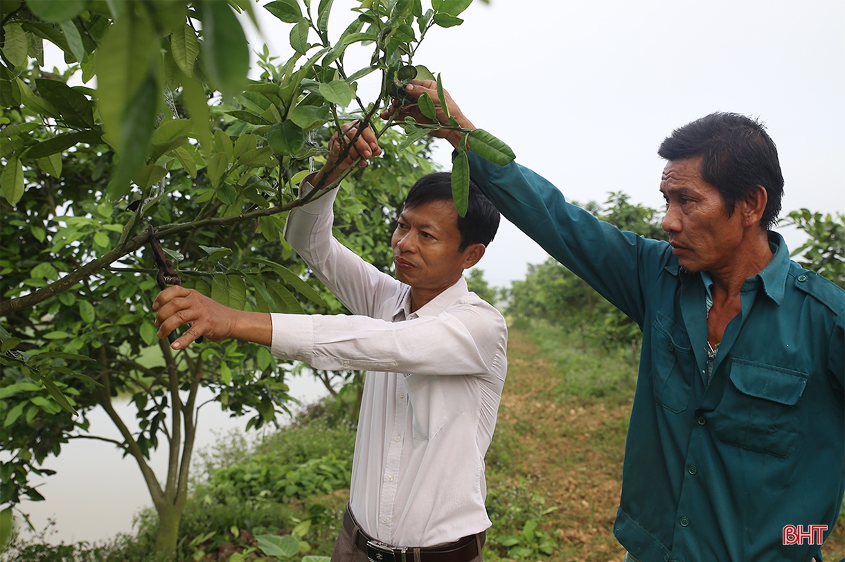 Tích tụ ruộng đất - từ chuyện những người “mê ruộng” và khát vọng nền nông nghiệp hiện đại (bài 1): Dốc vốn tích tụ 5 ha đất, ông nông dân “gàn” xây mô hình 4 tầng nấc