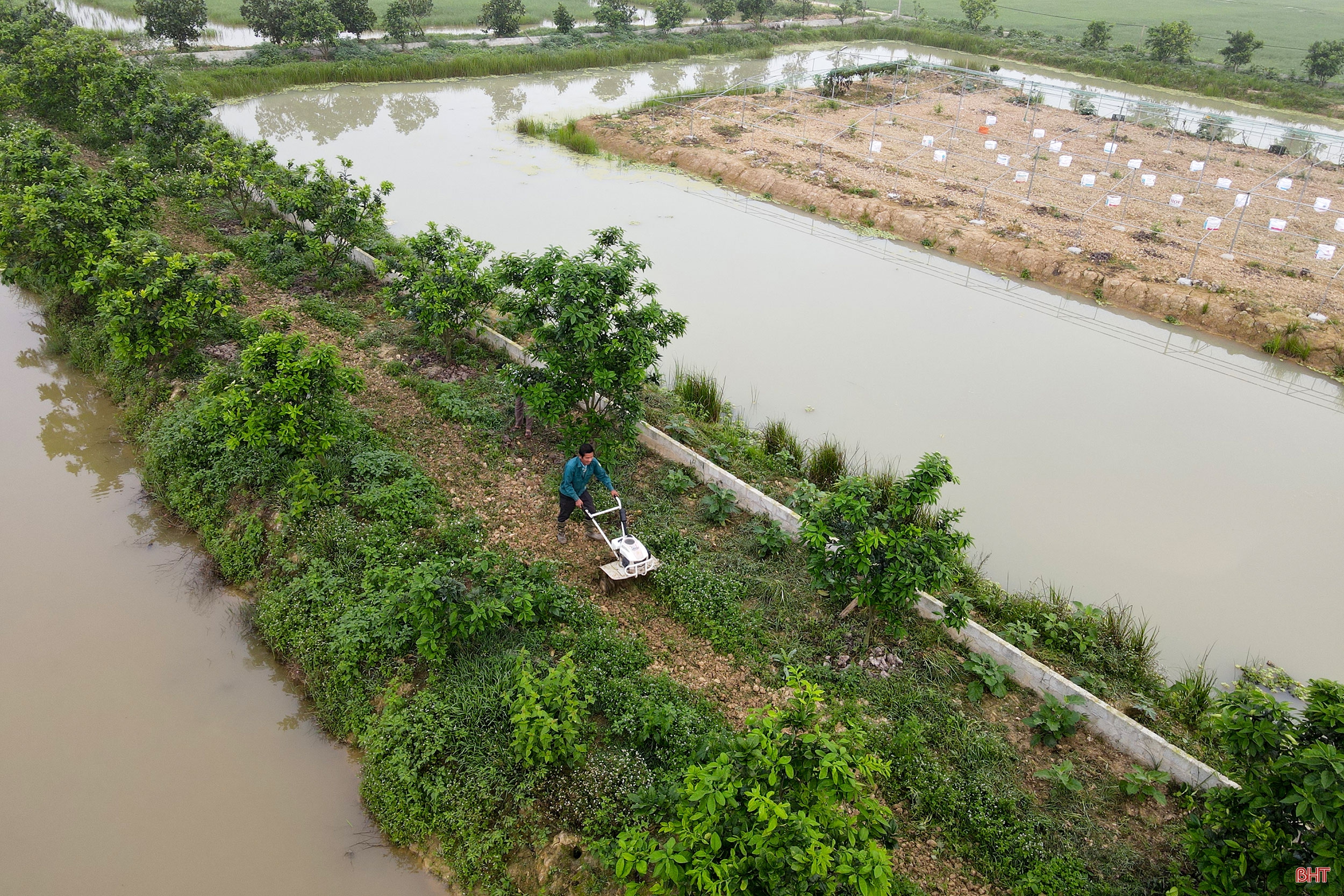 Tích tụ ruộng đất - từ chuyện những người “mê ruộng” và khát vọng nền nông nghiệp hiện đại (bài 1): Dốc vốn tích tụ 5 ha đất, ông nông dân “gàn” xây mô hình 4 tầng nấc