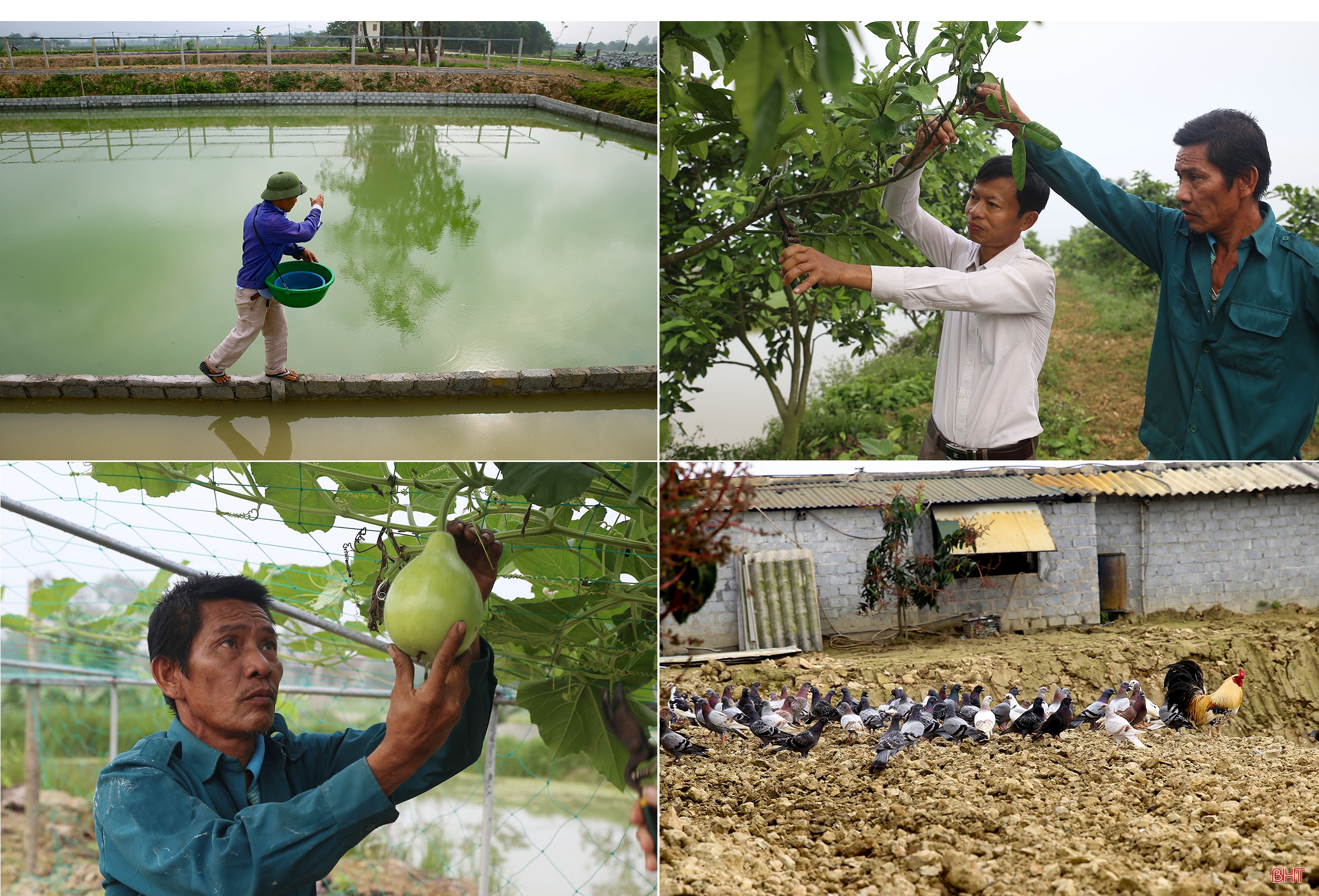 Tích tụ ruộng đất - từ chuyện những người “mê ruộng” và khát vọng nền nông nghiệp hiện đại (bài 1): Dốc vốn tích tụ 5 ha đất, ông nông dân “gàn” xây mô hình 4 tầng nấc