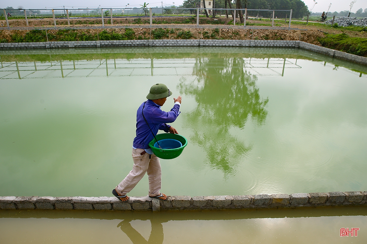 Tích tụ ruộng đất - từ chuyện những người “mê ruộng” và khát vọng nền nông nghiệp hiện đại (bài 1): Dốc vốn tích tụ 5 ha đất, ông nông dân “gàn” xây mô hình 4 tầng nấc