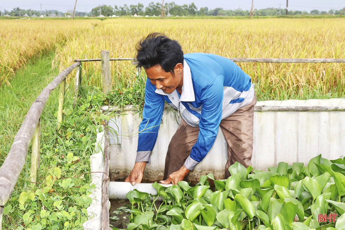 Từ nuôi lươn thoát nghèo thành ông chủ mô hình kinh tế doanh thu hàng tỷ đồng