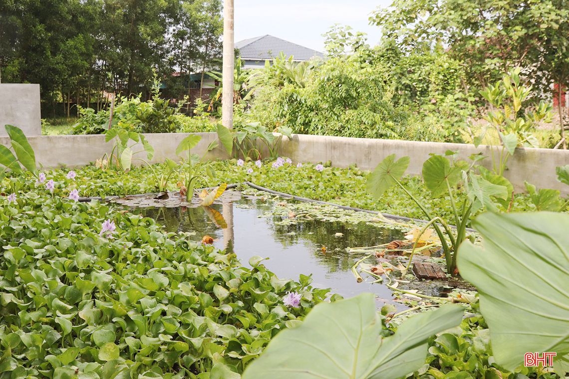 Từ nuôi lươn thoát nghèo thành ông chủ mô hình kinh tế doanh thu hàng tỷ đồng