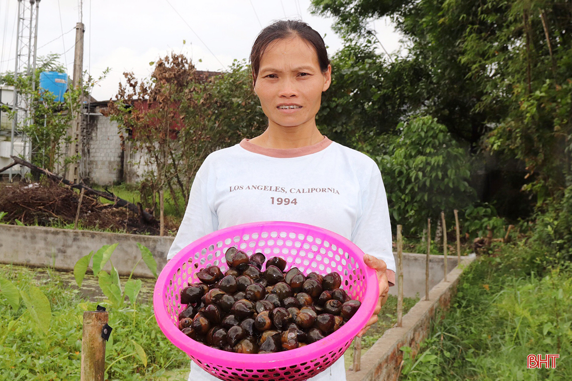 Từ nuôi lươn thoát nghèo thành ông chủ mô hình kinh tế doanh thu hàng tỷ đồng