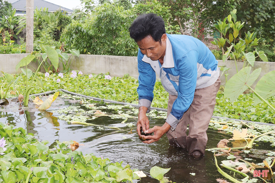 Từ nuôi lươn thoát nghèo thành ông chủ mô hình kinh tế doanh thu hàng tỷ đồng