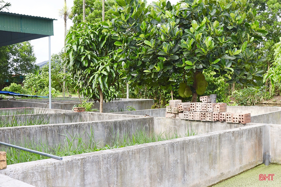 Từ nuôi lươn thoát nghèo thành ông chủ mô hình kinh tế doanh thu hàng tỷ đồng