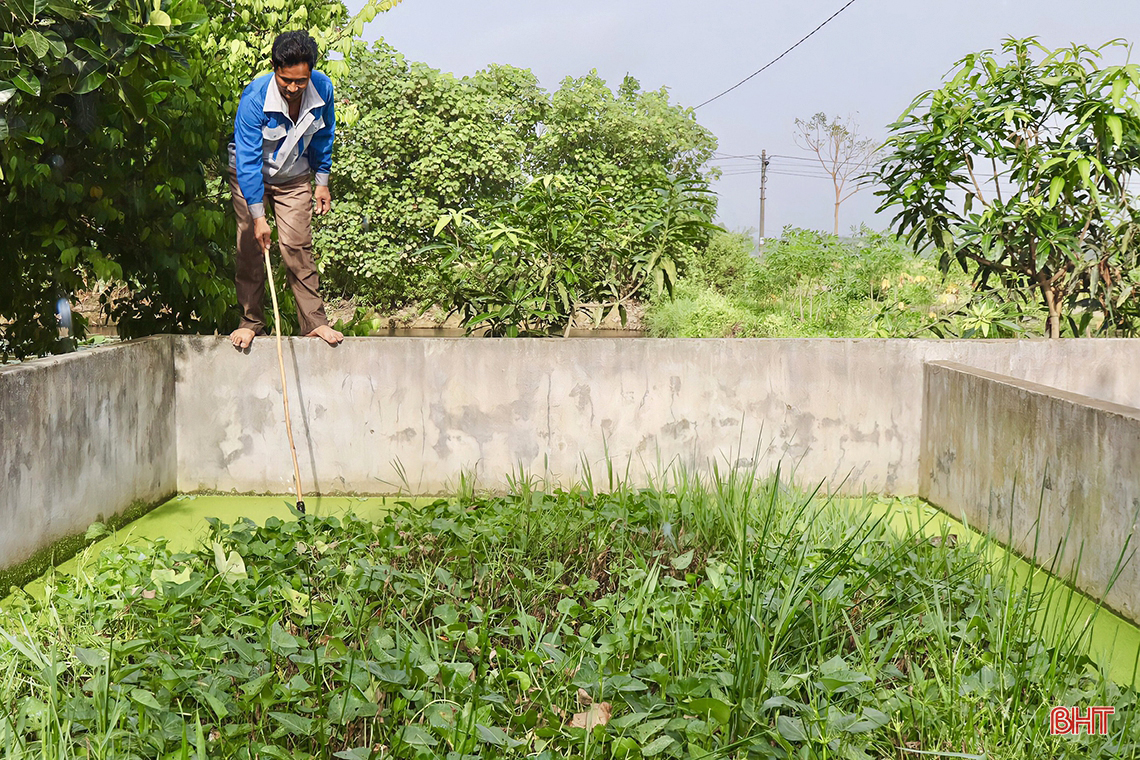 Từ nuôi lươn thoát nghèo thành ông chủ mô hình kinh tế doanh thu hàng tỷ đồng