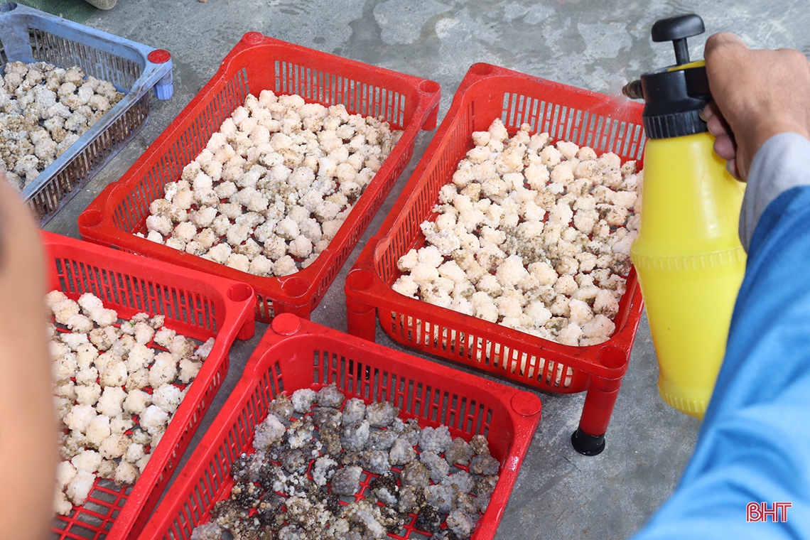 Từ nuôi lươn thoát nghèo thành ông chủ mô hình kinh tế doanh thu hàng tỷ đồng