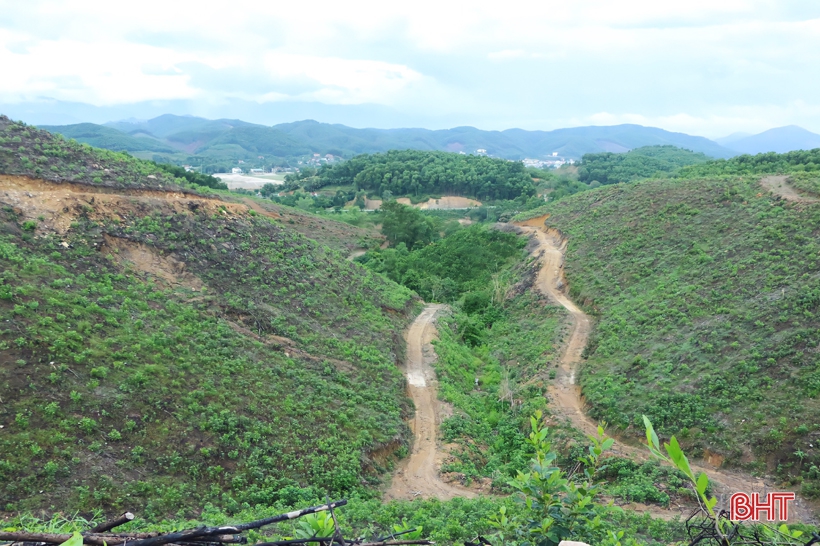 Kiên trì khởi nghiệp, vợ chồng ở vùng đồi Vũ Quang hái quả ngọt