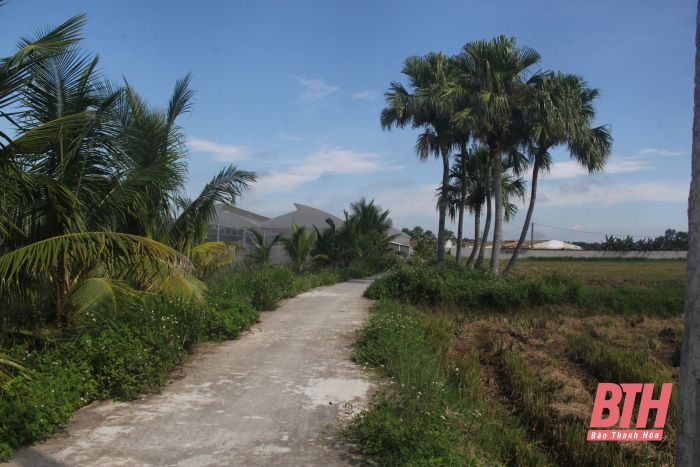 Vợ chồng Việt kiều “mê” làm nông nghiệp sạch