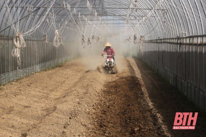 Vợ chồng Việt kiều “mê” làm nông nghiệp sạch