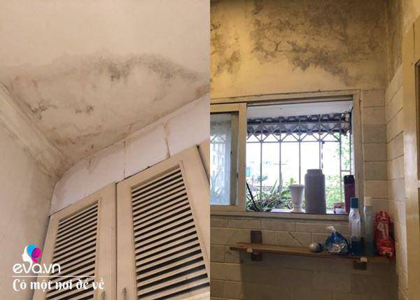 thue can ho am thap rong 45m2, 9x