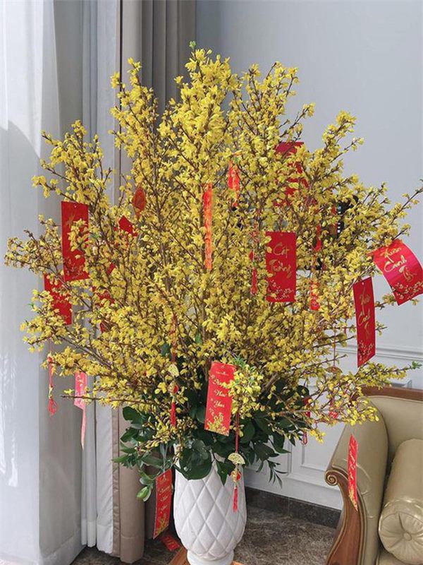 theo chong ve biet thu moi, bao thy tu hao khoe thanh qua sau canh cua hao mon - 4