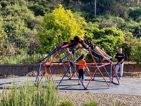 theo gia dinh sang my dinh cu, dieu huong khoe khong gian nha ngap cay coi - 4