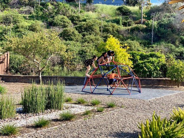 theo gia dinh sang my dinh cu, dieu huong khoe khong gian nha ngap cay coi - 5