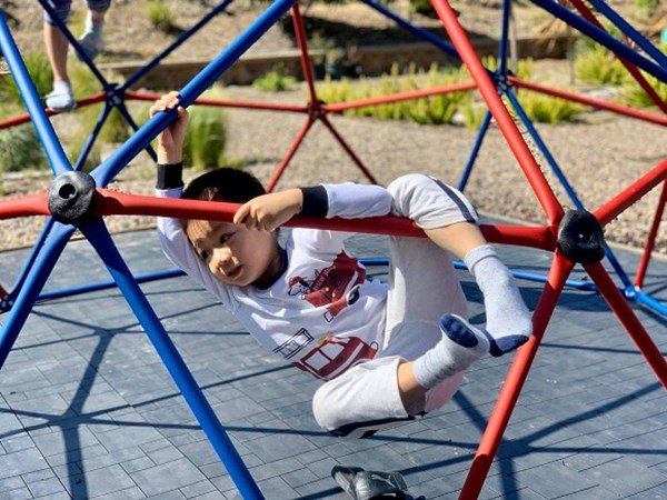 theo gia dinh sang my dinh cu, dieu huong khoe khong gian nha ngap cay coi - 6