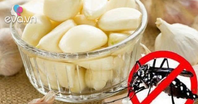6 cách đuổi muỗi 