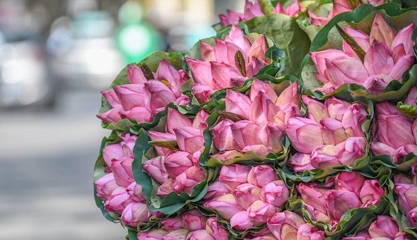 When the scorching heat covers the whole city, it was the time for pink and white lotus flowers to bloom and be widely sold by the hawkers.