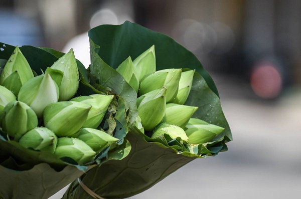 Besides the pink lotus flowers, the white ones are also sold with higher price of VND20,000 (US$0.9) for each thanks to its sense of purity.