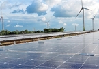 Solar power investors in Vietnam rush for price incentive deadline