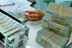 Vietnam’s banks urged to maintain CASA ratio to control funding costs