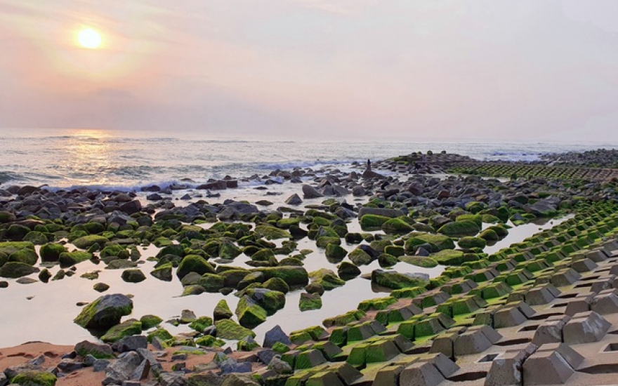 Du khách đổ xô check-in bãi đá rêu xanh đẹp nhất Phú Yên