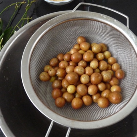 Khéo léo ngắt lấy quả quất hồng bì, bỏ cuống