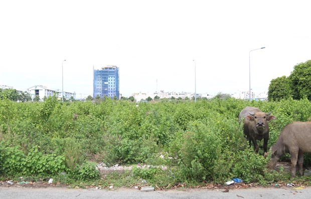 Tỉnh táo khi ôm “đất làng” chờ... “lên phố”